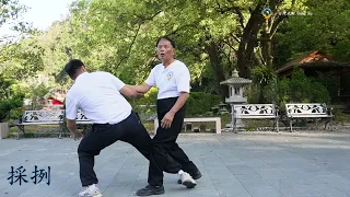 Tai Chi Gungfu 太極拳推手 功法1.Part2.  台灣武術 Gung Fu