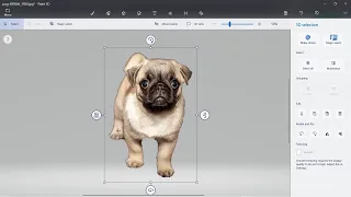 How To Remove The Background In A Picture Using Paint 3D | Transparent Background With Paint 3D