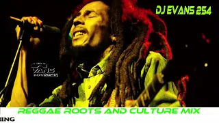 ONE DROP REGGAE ROOTS AND CULTURE VOL 1 BY DJ EVANS 254  LUCKY DUBE  BOB MARLEY  WAILER  CULTURE