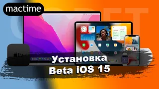 Как установить Beta iOS 15 на iPhone