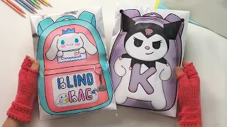 What do you like more?? 💙 Cinnamoroll vs. Kuromi 💜 Blind Bag
