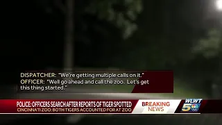 Police traffic details search after reports of tiger spotted