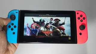 Divinity: Original Sin 2 - Definitive Edition Nintendo Switch handheld gameplay