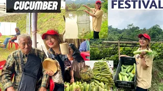 THIS HAPPENED AT THE CUCUMBER FARM 😱🤭🤍| Cucumber festival 🤍❤️