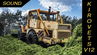 V12 Monster im Einsatz! - KIROVETS K701 - Russenkuh  ▶ Agriculture Gemanyy