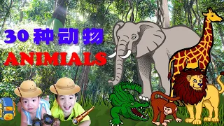 30种动物和声音｜Learn 30 Animals & Sounds【儿童华语/中文学习/儿歌】Chinese/Mandarin/Songs for Preschool Toddler Kids