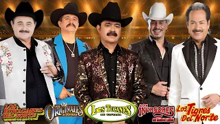 Los Tucanes de Tijuana, Los Tigres del Norte, Los Huracanes Del Norte, Los Invasores De Nuevo Leon