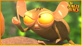 The Invasion Has Begun | Jungle Bunch | 75' Compilation | Cartoon For Kids