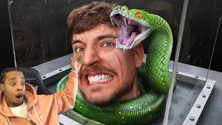 FlightReacts To MrBeast Face Your Biggest Fear To Win $800,000!