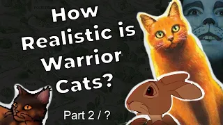 How Realistic is Warrior Cats? | Those Cat Books at the Book Fair Part 2