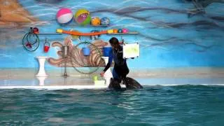 Dolphinarium Dubai - dolphin show Feb2011