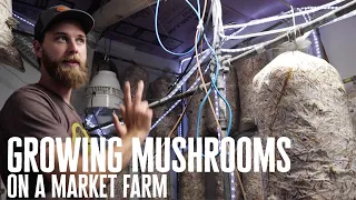 Growing Mushrooms on a Market Farm