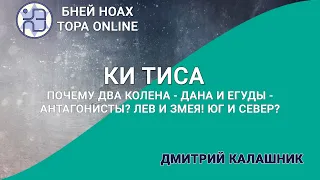 Почему два колена - Дана и Егуды - антагонисты? Лев и Змея! Юг и Север? Недельная глава Ки Тиса