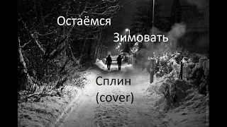 Сплин - Остаёмся зимовать (cover)