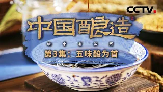 《中国酿造》做醋先酿酒？原来醋和酒的关系就藏在名字里！一起看“醋”的诞生传奇 鉴赏酿造里的中国字！EP03【CCTV纪录】