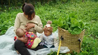 Single Mom - Raising two children alone & Harvest green vegetables go market sell, Build Family life