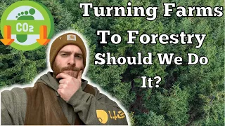 Planting Trees On Farms To Reduce Carbon Footprint. Is It A Good Thing?