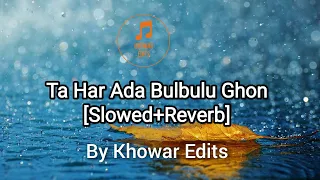 Ta Har Ada Bulbul o Ghon | Khowar Song | Slowed+Reverb