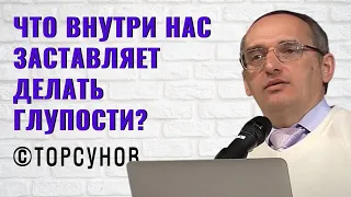 Что внутри нас заставляет делать глупости? Торсунов лекции