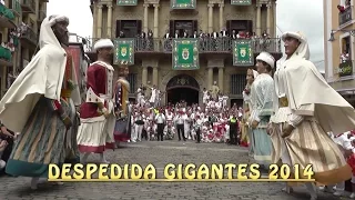 Despedida gigantes Pamplona 2014 / San Fermín 2014