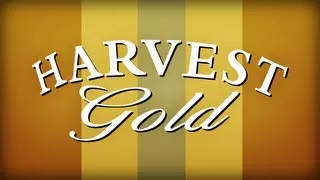 Beverage Guide Express - Harvest Gold Mead