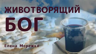 Животворящий Бог | Елена Мережко