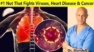 #1 Nut that Fights Viruses, Heart Disease & Cancer | Dr Alan Mandell, DC