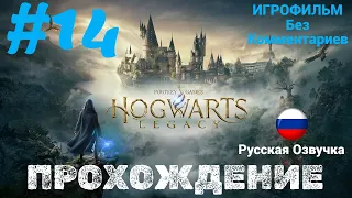 Hogwarts Legacy | ИГРОФИЛЬМ | Без Комментариев | Русская Озвучка | Часть 14 | Доп Задания