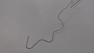 Magic Shape Memory Nitinol Wire Experiment