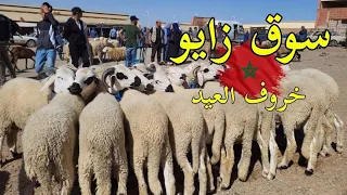 سوق الأسبوعي زايو اتمنة الخروف العيد souk zaio nador