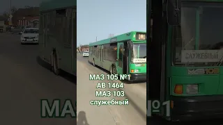 МАЗ 105 №1 и МАЗ 103 служебный