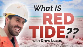 The Red Tide Phenomenon