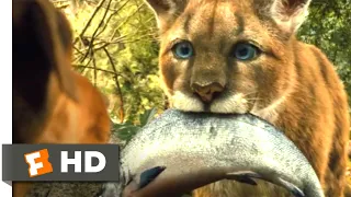 A Dog's Way Home (2018) - Big Kitten Scene (2/10) | Movieclips