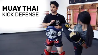 Muay Thai Kick Defense