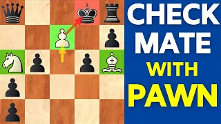 4 Beautiful Chess Opening TRAPS To WIN Fast!