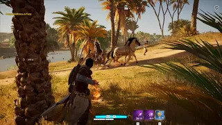 Assassin's Creed Origins прохождение боссов : 6. Железный Баран (филак)