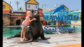 Seal show || The Sea World || Gold Coast Australia