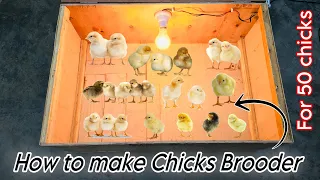 How to make chicks brooder | Brooder banane ka tarika | DIY Chicken coop