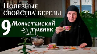 Листья и почки березы — для иммунитета и не только! Монастырский травник.