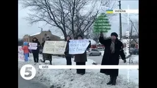 Мешканці Биківні вимагають припинити вирубку лісу