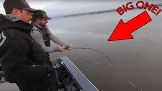 Upper Columbia River White Sturgeon Fishing (We CATCH Some GIANTS!)