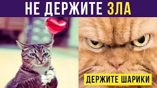 Приколы. Не держите зла. Держите шарики))) | Мемозг #213