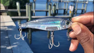 Using this Lure During a Crazy Jack Crevalle feeding frenzy!!!