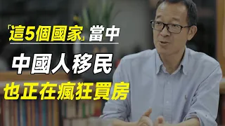 这5个国家当中，中国人正在疯狂移民，也正在疯狂买房  #十三邀 #许知远#罗翔#王石