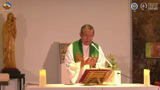 Healing Prayer by Fr Jerry Orbos SVD - July 11 2021,  15th Sunday in Ordinary Time