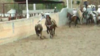 Rodeo En el Vergel