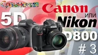 Canon 5D или Nikon D800? #3