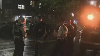 12-year-old girl shot in Queens: police