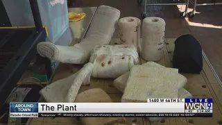 Around Town - The Plant