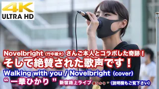 【4K】Novelbright（竹中雄大）さんご本人とコラボした奇跡！そして絶賛された歌声！（説明欄もご覧下さい）Walking with you （cover） " 一華ひかり "  新宿路上ライブ